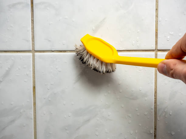 Best Certified Mold Removal  in Cedar Park, TX