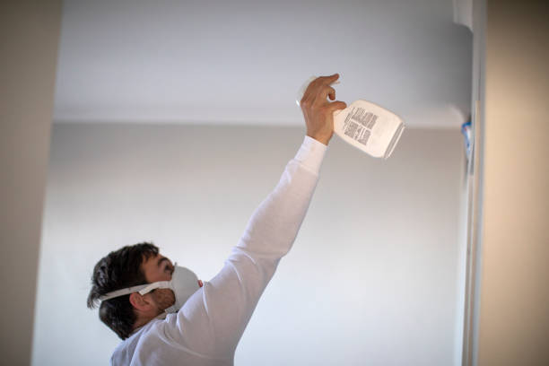 Best Black Mold Removal  in Cedar Park, TX