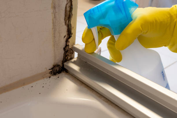 Best Residential Mold Removal  in Cedar Park, TX