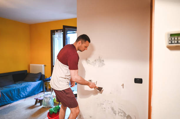 Best Mold Damage Repair  in Cedar Park, TX